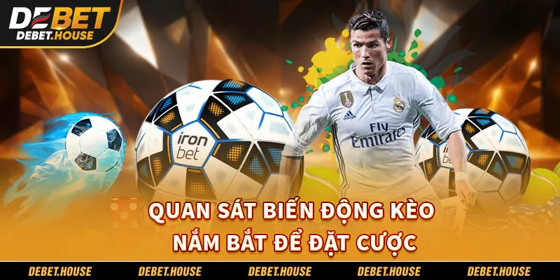 Quan sát biến động kèo nắm bắt để đặt cược