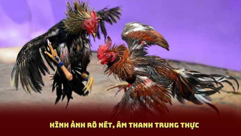Hình ảnh rõ nét, âm thanh trung thực