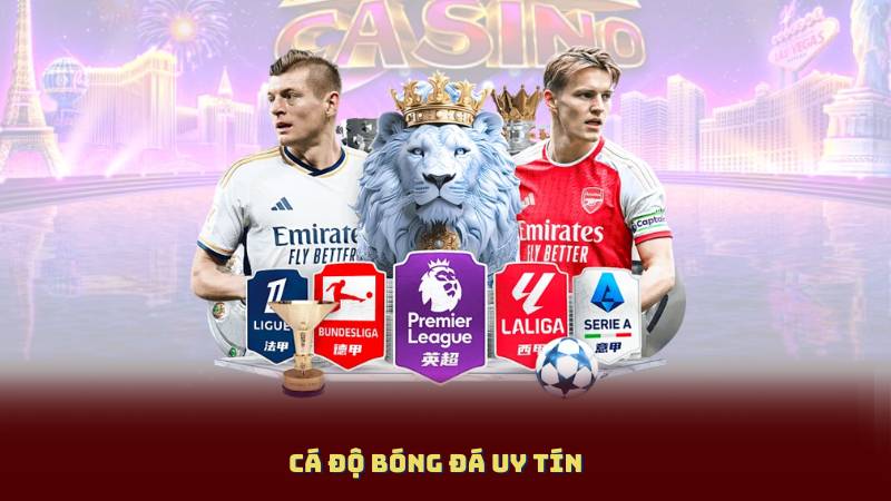 Cá Độ Bóng Đá Uy Tín – Những Điều Người Mới Chơi Cần Biết