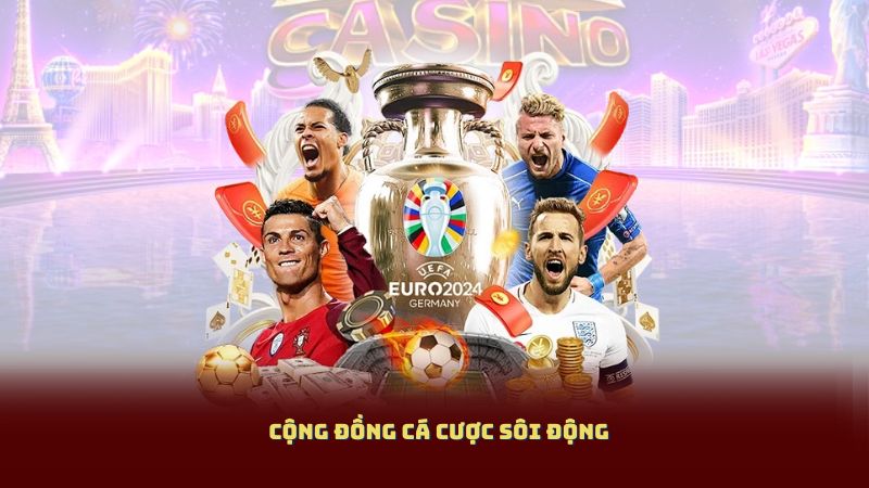 Nghiên cứu kỹ lưỡng trước khi đặt cược.